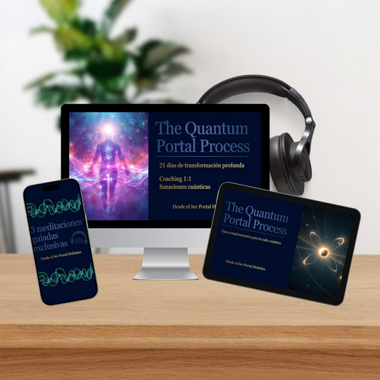 Programa 1:1 The Quantum Portal